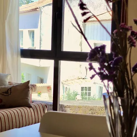 Cl Palmeira 4 Apartman